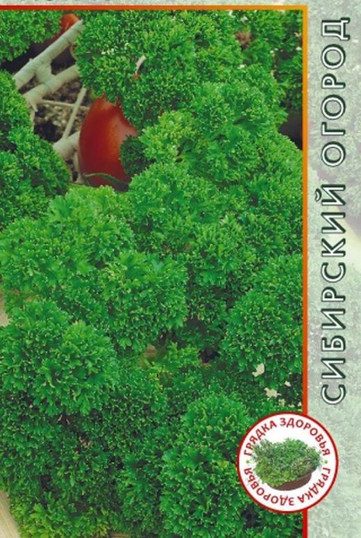 Петрушка Астра курчавая
