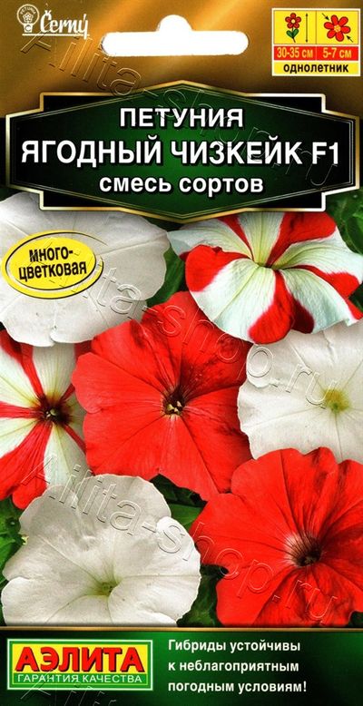 Петуния Ягодный чизкейк F1, смесь сортов