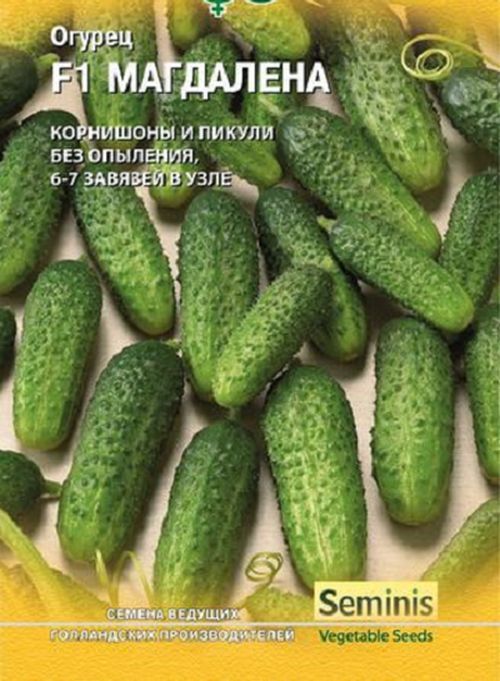 Огурец F1 Магдалена 