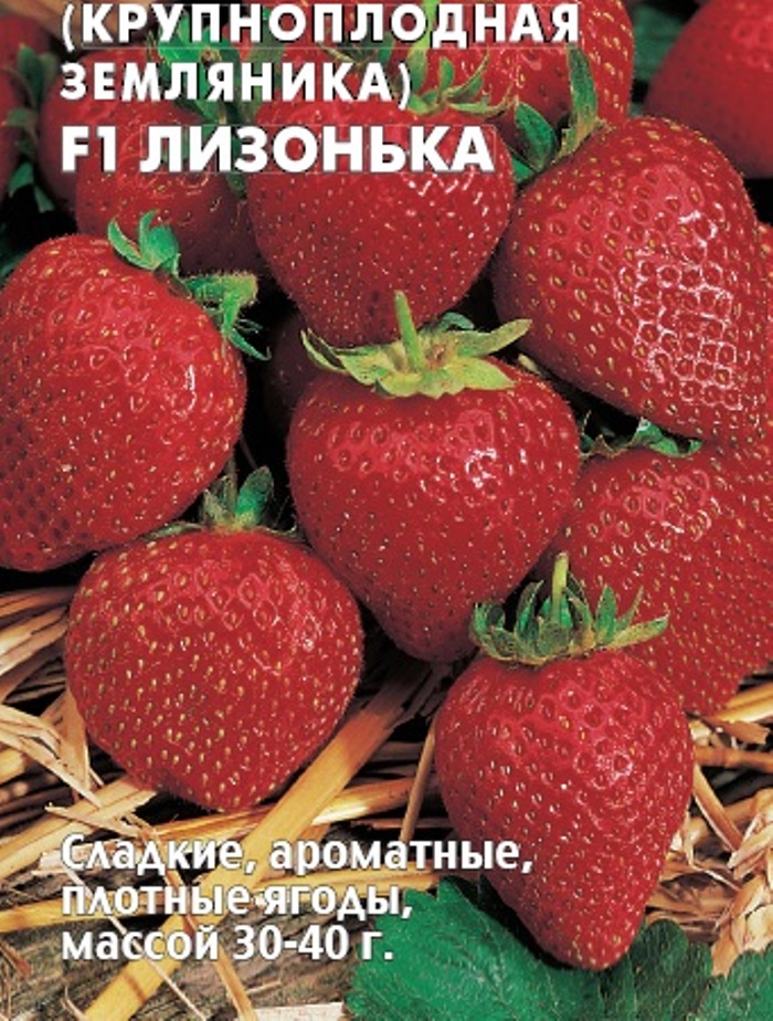 Земляника Лизонька F1 крупноплодная купить семена по низкой цене, доставка почто