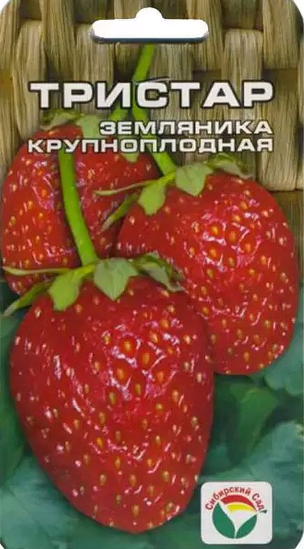 

земляника тристар семена, земляника тристар семена купить