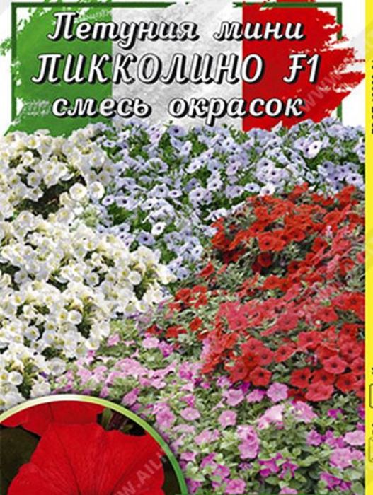 

петуния мини пикколино f1, смесь окрасок семена, петуния мини пикколино f1, смесь окрасок семена купить