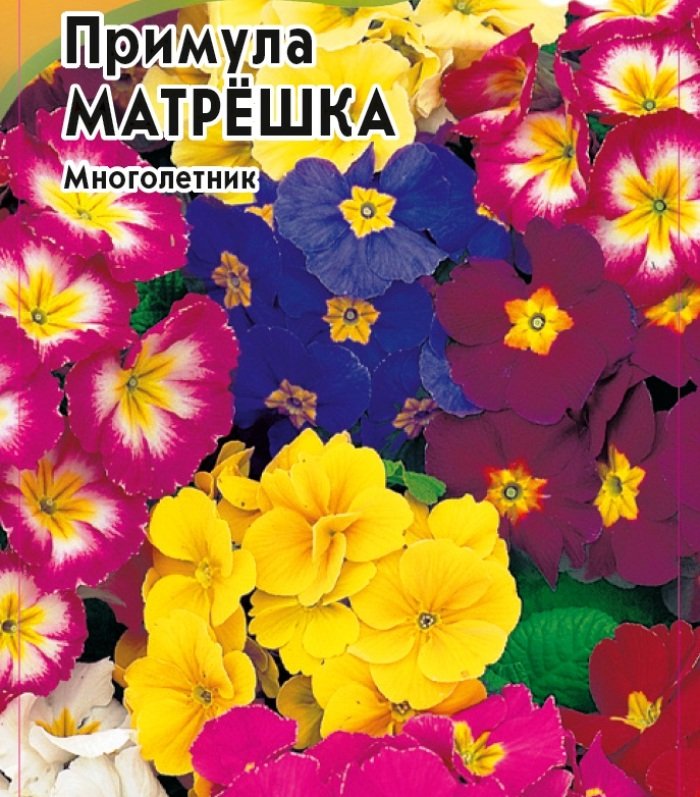 Примула Матрешка, смесь
