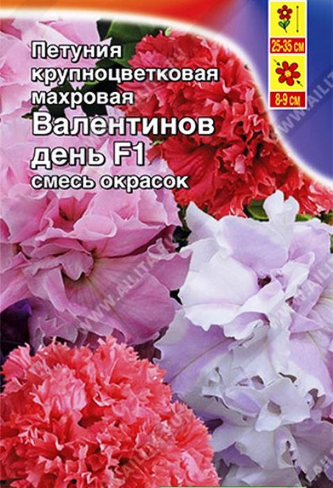 

петуния валентинов день f1 крупноцветковая махровая, смесь окрасок семена, петуния валентинов день f1 крупноцветковая махровая, смесь окрасок семена купить