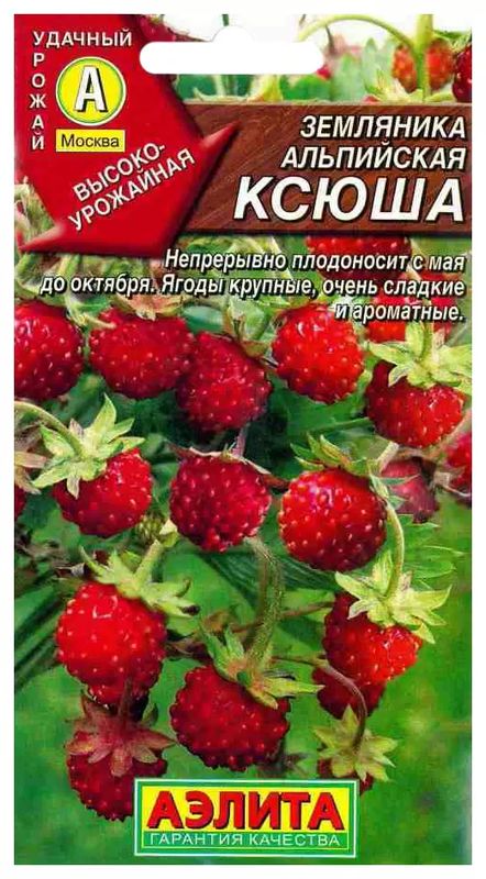 

земляника альпийская ксюша семена, земляника альпийская ксюша семена купить