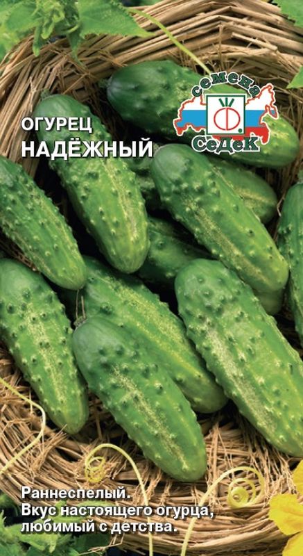 

огурец надёжный семена, огурец надёжный семена купить