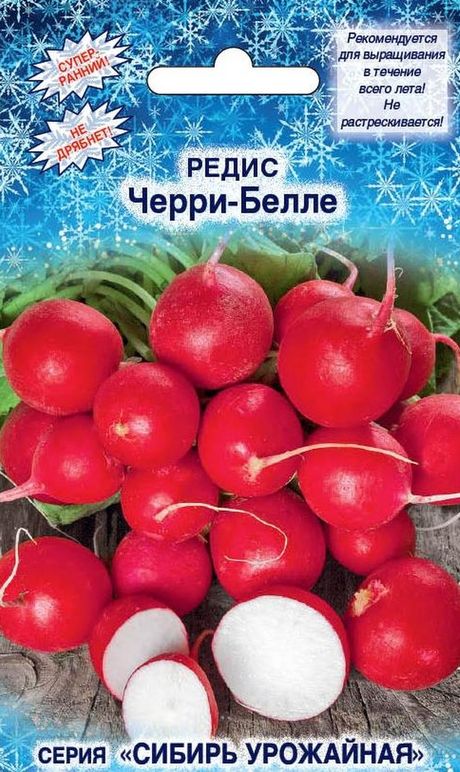 

редис черри-белле семена, редис черри-белле семена купить