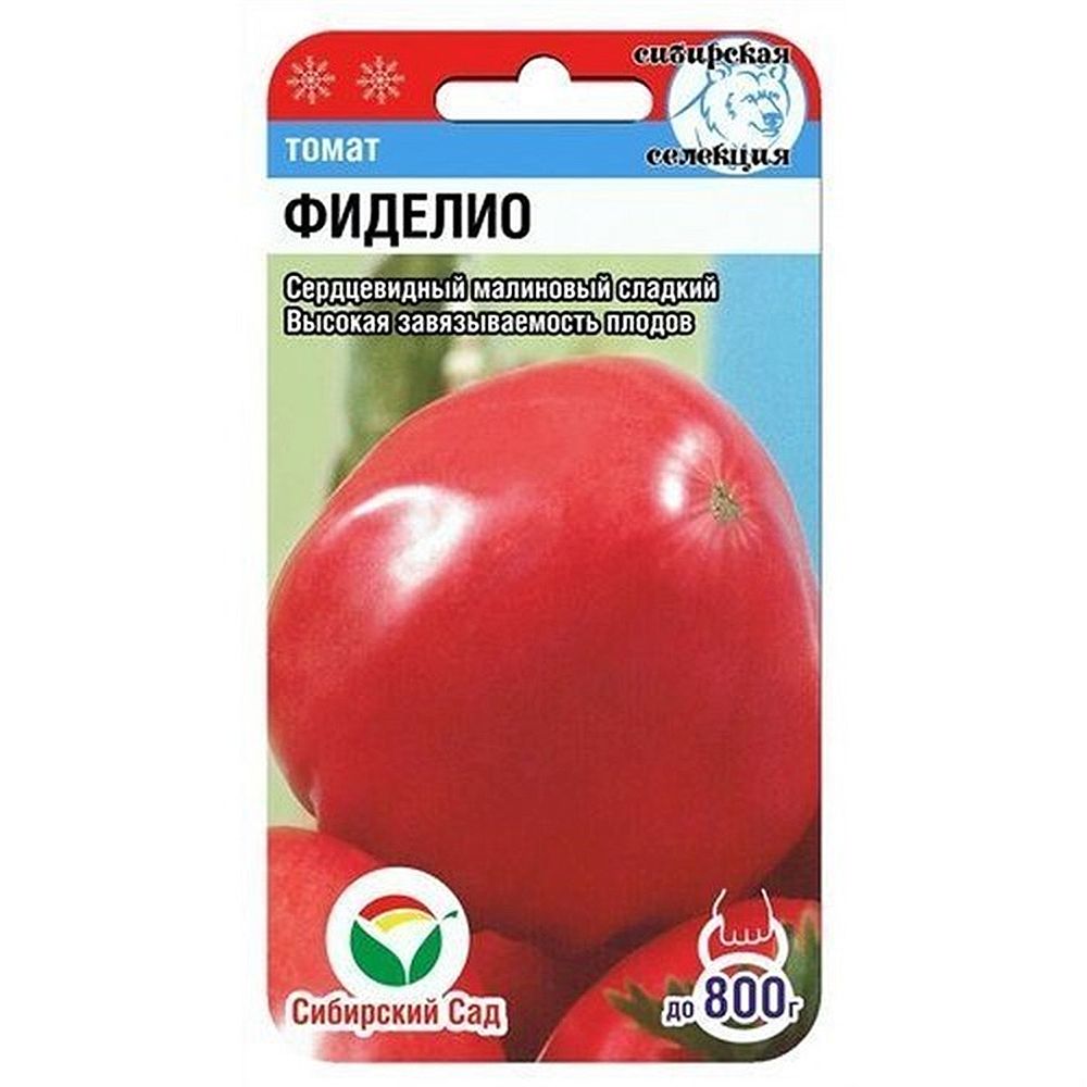 

томат фиделио семена, томат фиделио семена купить