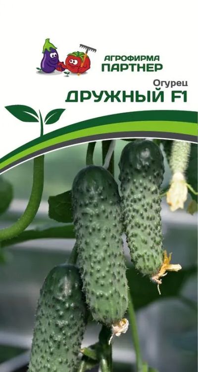 

огурец дружный f1 семена, огурец дружный f1 семена купить