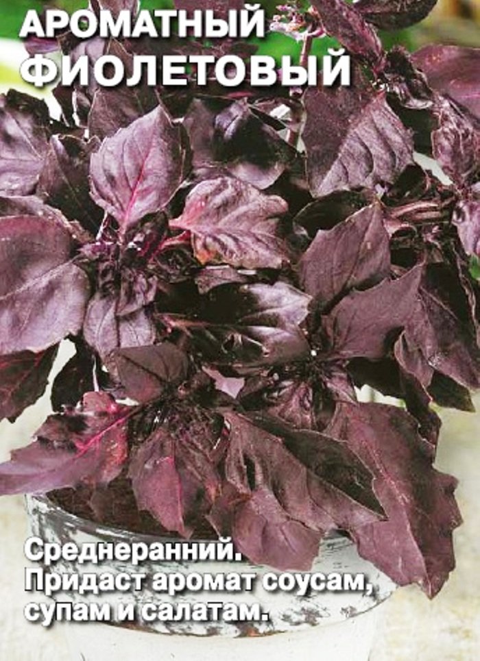 

базилик фиолетовый семена, базилик фиолетовый семена купить