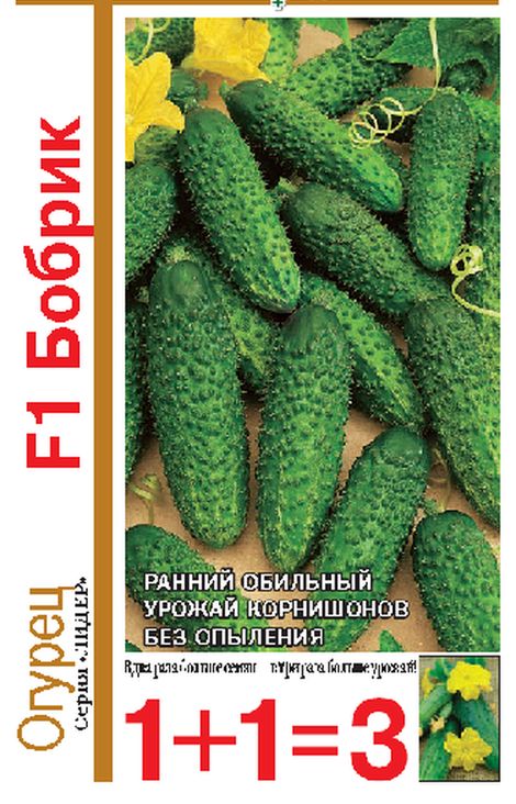 Огурец Бобрик F1 серия 1+1 корнишон