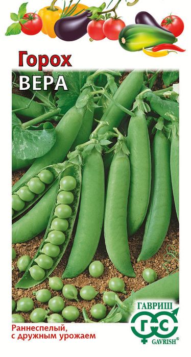 

горох вера семена, горох вера семена купить
