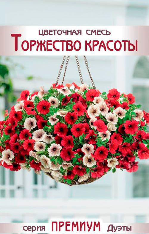 Цветочная смесь Торжество Красоты
