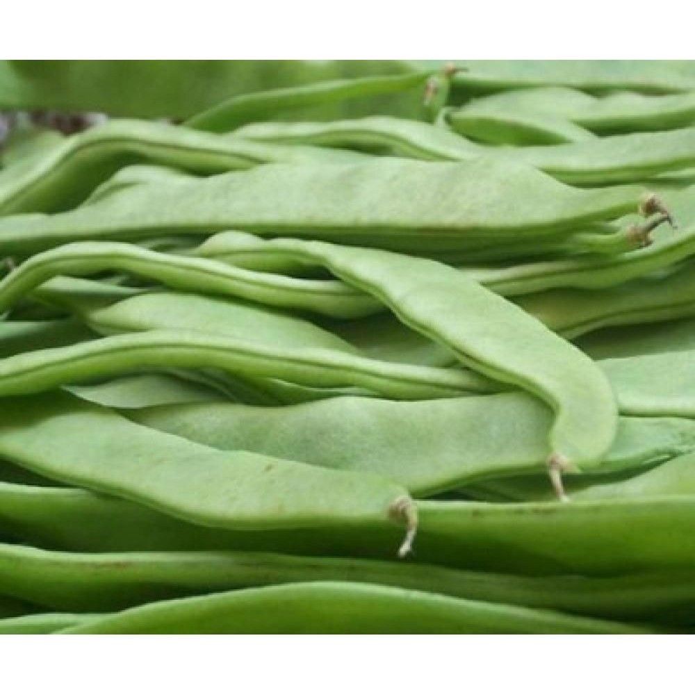 Плоская зеленая фасоль. Лоби зеленый. Фасоль стручковая green. Фасоль спаржевая мавританка. Спаржевая фасоль плоская.