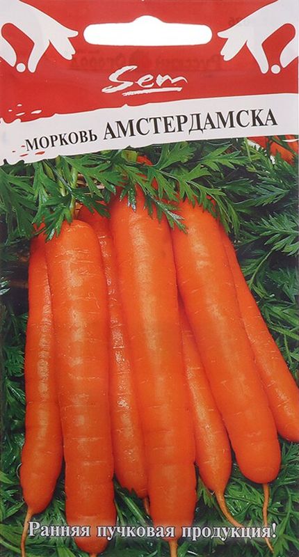 

морковь амстердамска семена, морковь амстердамска семена купить