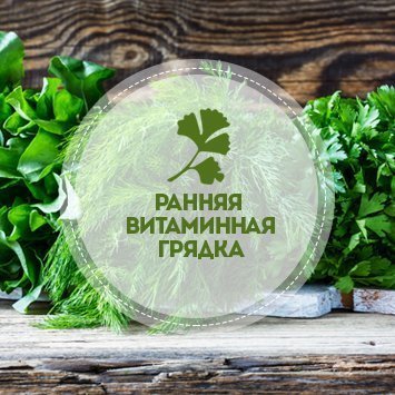 Ранняя витаминная грядка