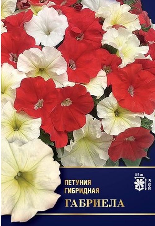 Петуния Габриела F1