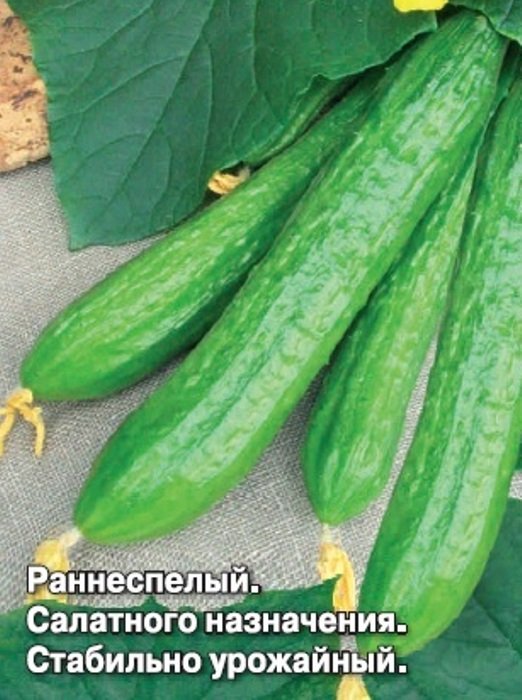 Огурец F1 Штраус