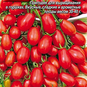 Томат Кнопка