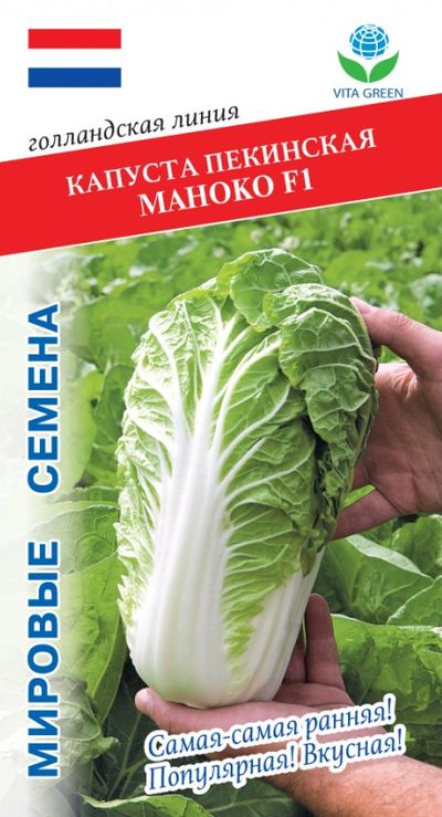 Капуста пекинская Маноко F1