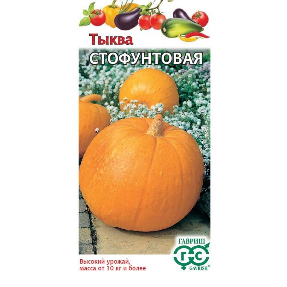 

тыква стофунтовая семена, тыква стофунтовая семена купить