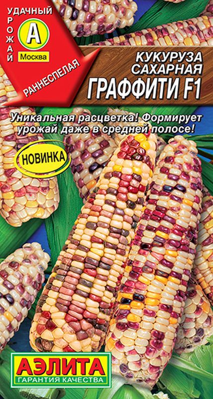 

кукуруза сахарная граффити f1 семена, кукуруза сахарная граффити f1 семена купить
