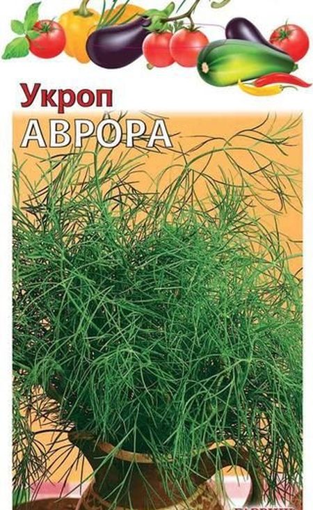 Укроп Аврора