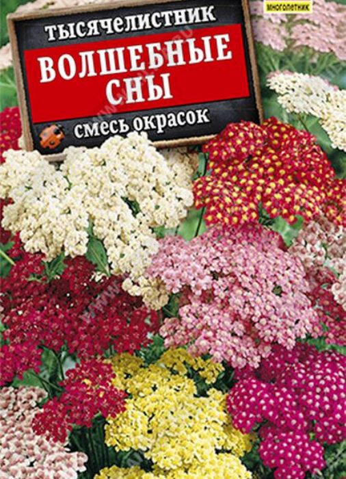 

тысячелистник волшебные сны, смесь окрасок семена, тысячелистник волшебные сны, смесь окрасок семена купить