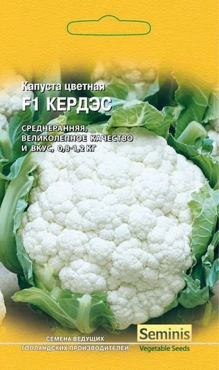 

капуста цветная f1 кердэс семена, капуста цветная f1 кердэс семена купить