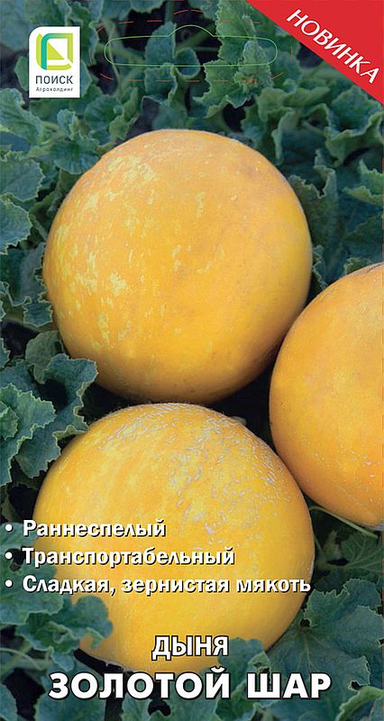 

дыня золотой шар семена, дыня золотой шар семена купить
