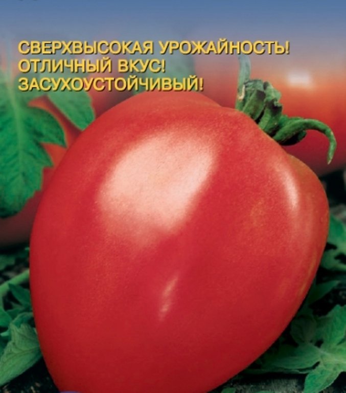 

томат данко семена, томат данко семена купить