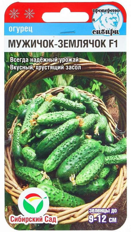 

огурец мужичок-землячок f1 семена, огурец мужичок-землячок f1 семена купить