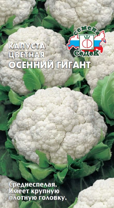 

капуста цветная осенний гигант семена, капуста цветная осенний гигант семена купить