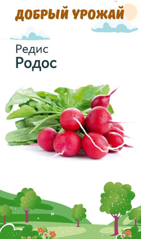 

редис родос семена, редис родос семена купить