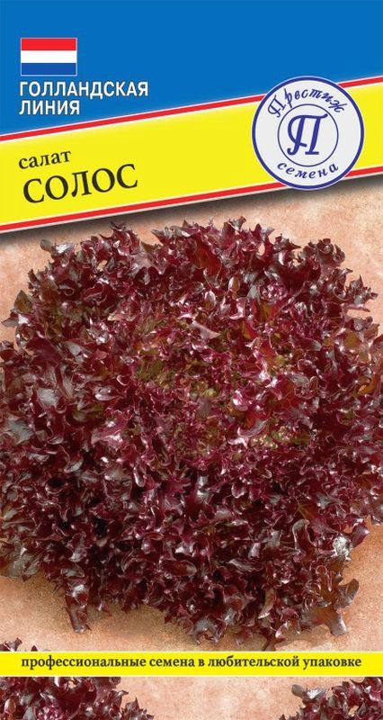 

салат солос семена, салат солос семена купить