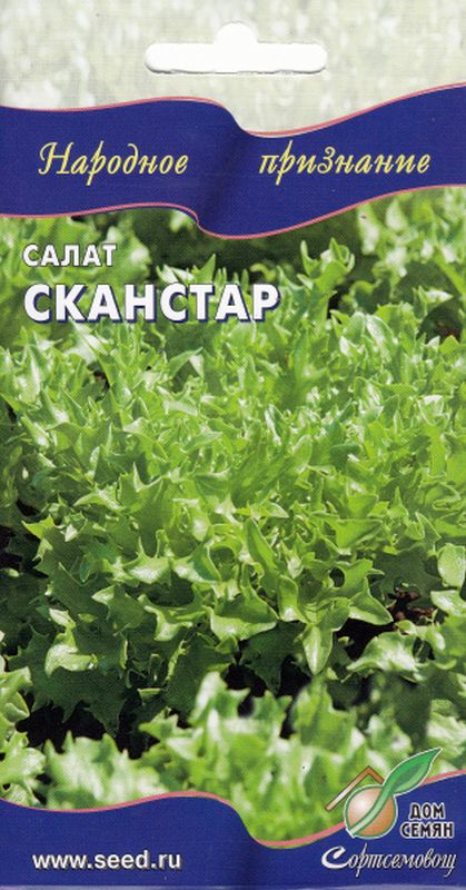 

салат листовой сканстар семена, салат листовой сканстар семена купить