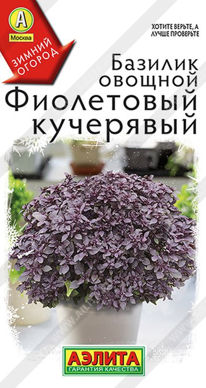 

базилик овощной фиолетовый кучерявый семена, базилик овощной фиолетовый кучерявый семена купить