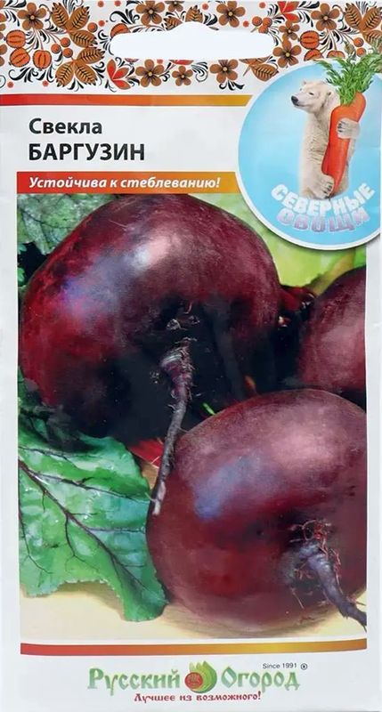 

свекла баргузин семена, свекла баргузин семена купить