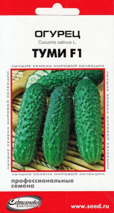 Огурец Туми F1