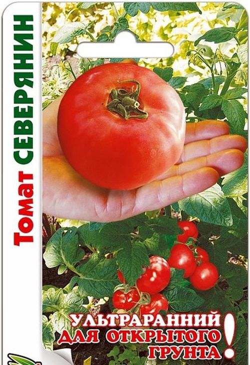 

томат северянин семена, томат северянин семена купить