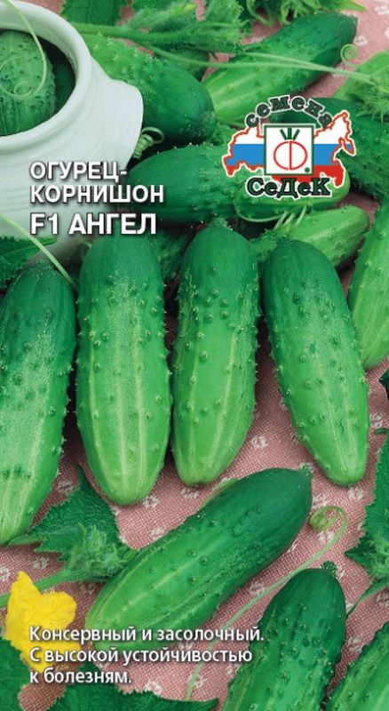 

огурец f1 ангел семена, огурец f1 ангел семена купить