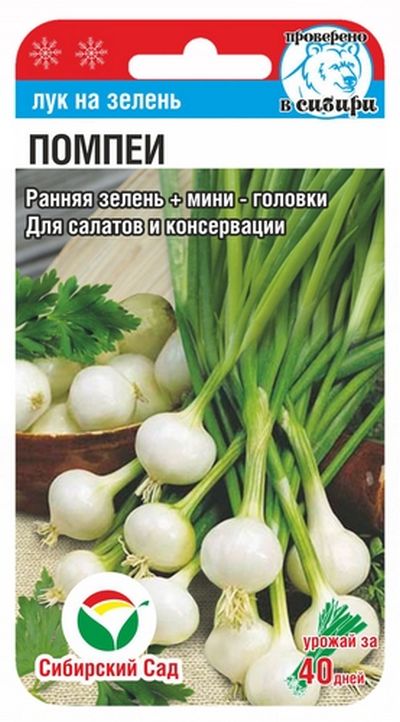 Лук На зелень Помпеи