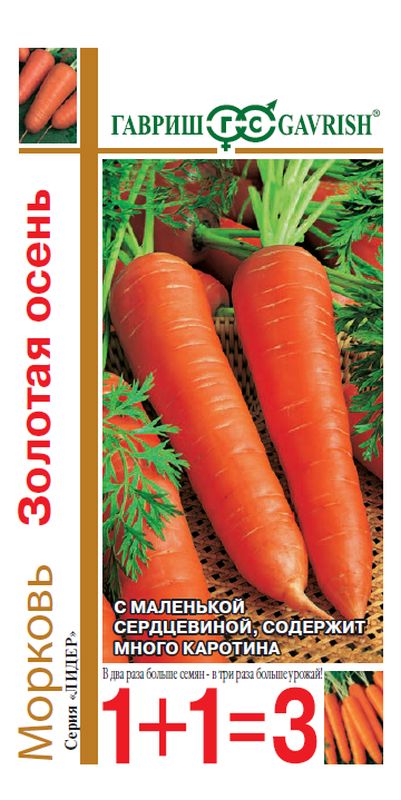 Морковь Золотая осень: описание, характеристики, правила выращивания и отзывы