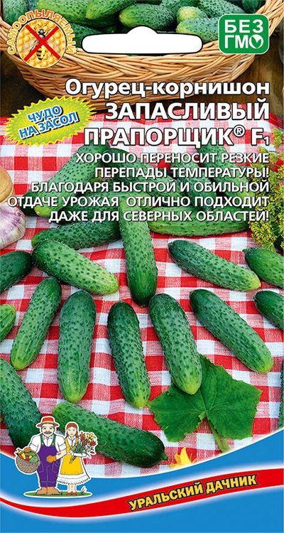 Огурец Запасливый прапорщик