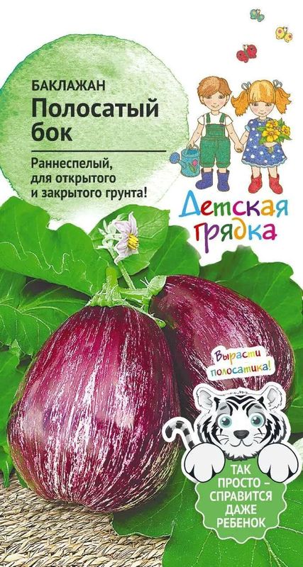 

баклажан полосатый бок семена, баклажан полосатый бок семена купить