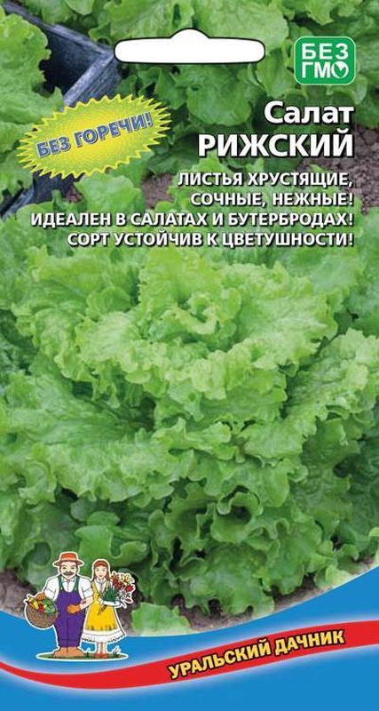 

салат листовой рижский семена, салат листовой рижский семена купить