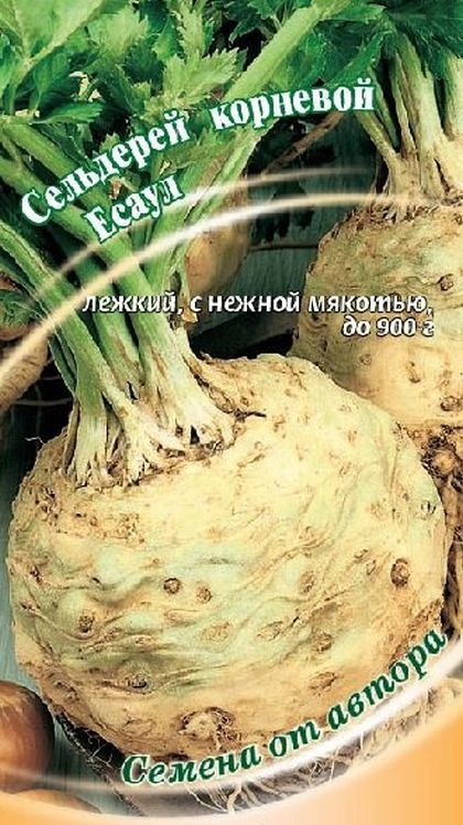 Сельдерей корневой Есаул*