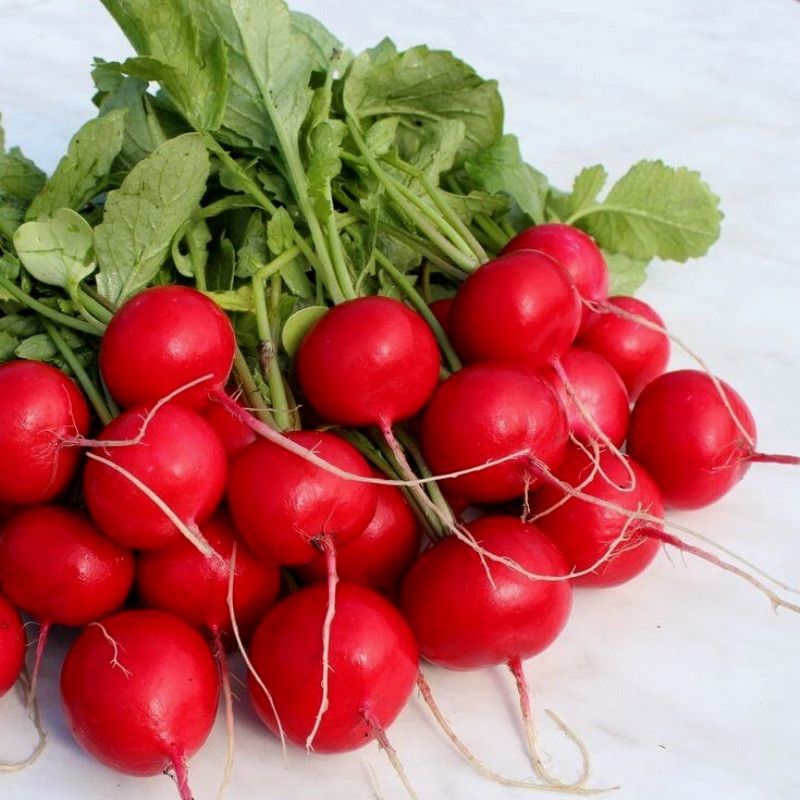 Редис тарзан. Редис донар. Сибсад редис синий иней. Семена редис селеста f1 60шт. Сибирский сад.