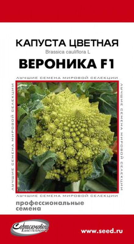 

капуста цветная вероника f1 семена, капуста цветная вероника f1 семена купить
