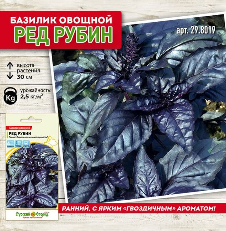 

базилик ред рубин семена, базилик ред рубин семена купить